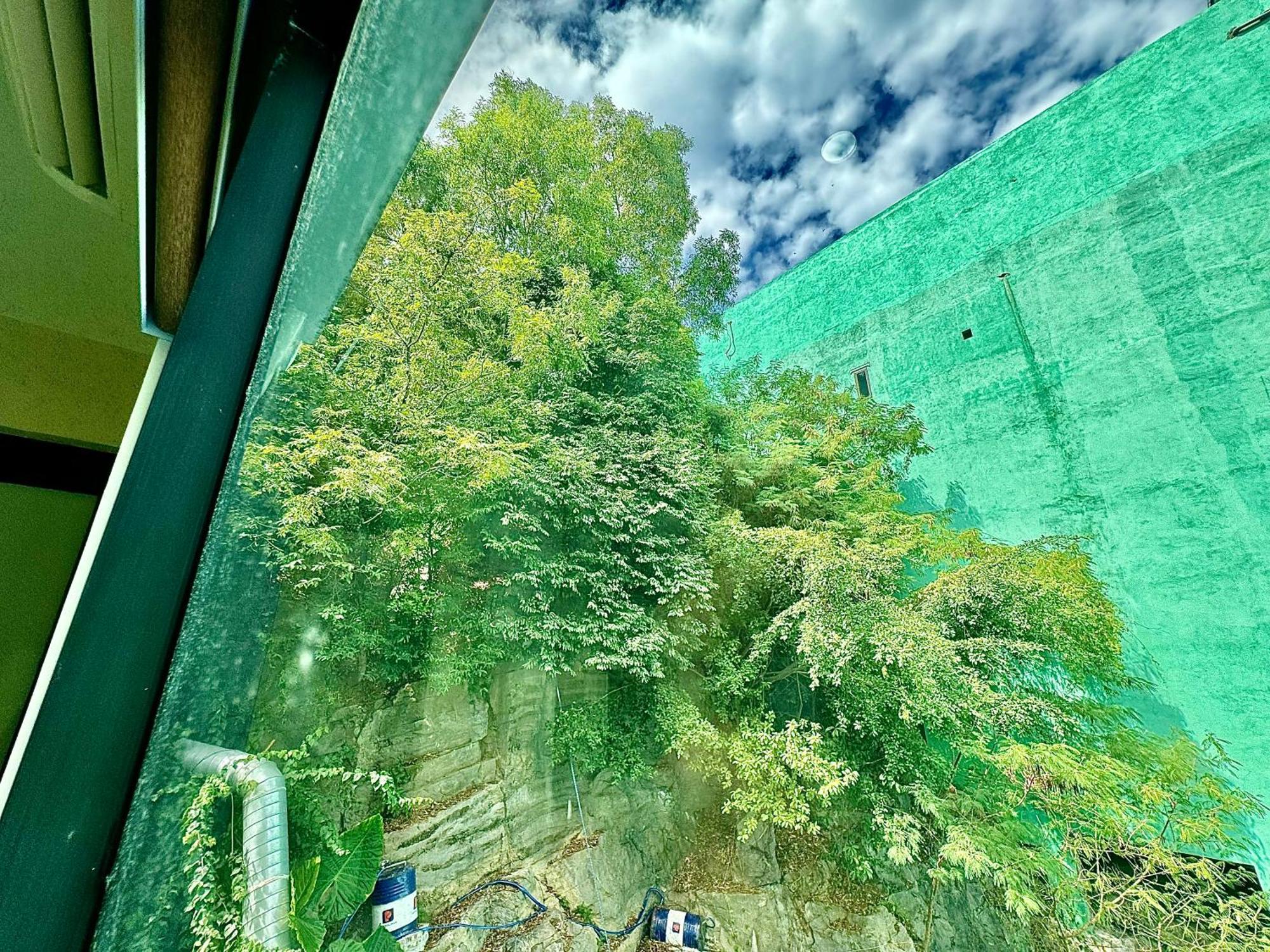Sunflower Catba Hotel Dong Khe Sau Dış mekan fotoğraf