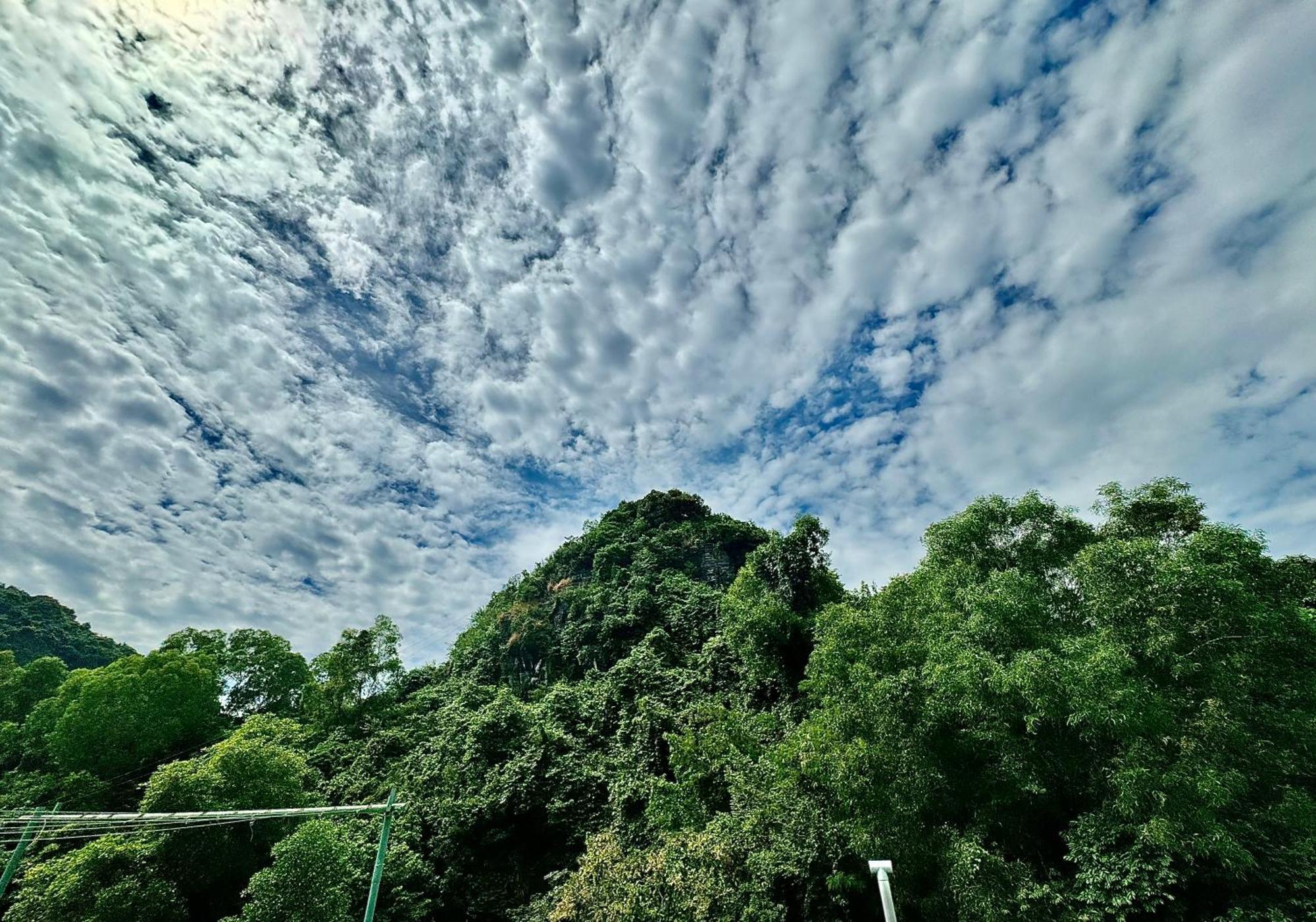 Sunflower Catba Hotel Dong Khe Sau Dış mekan fotoğraf